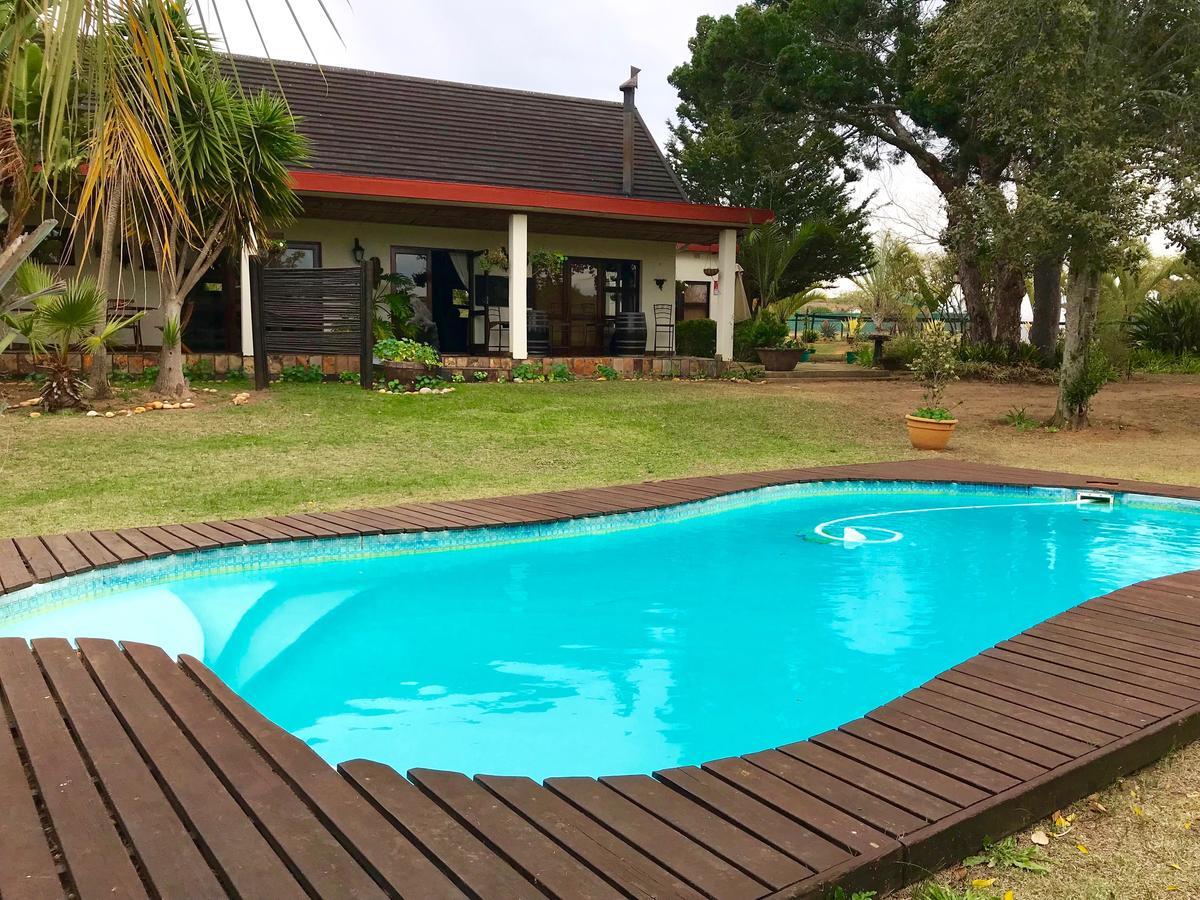 Cheetah Lodge Guest House هارتينبوس المظهر الخارجي الصورة